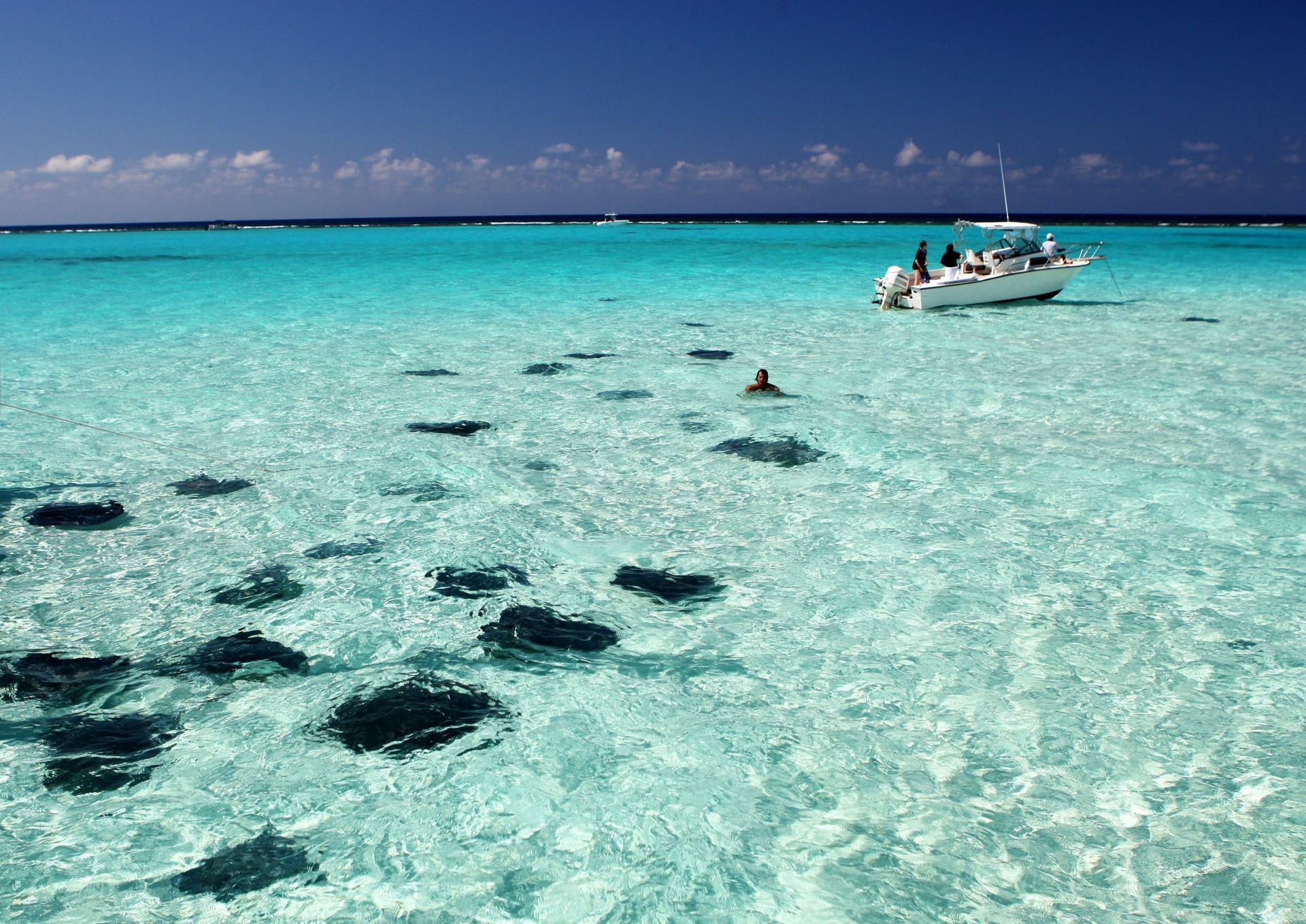 Stingray City - Discover Antigua Barbuda