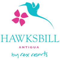 hawksbill-removebg-preview